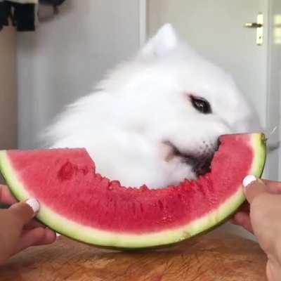 cloud eating watermelon ?