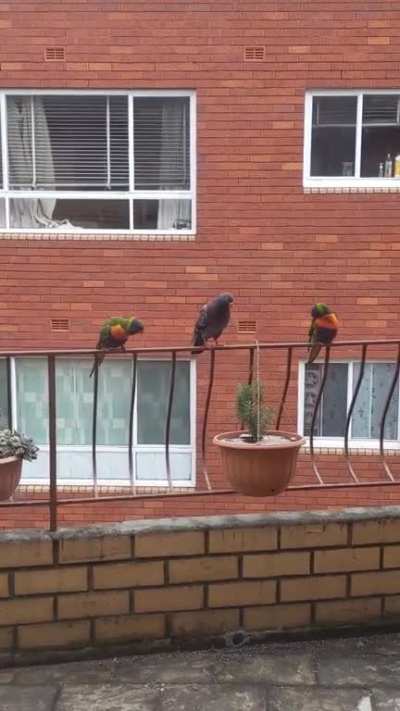 At mating