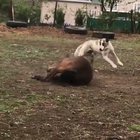 Beautiful friendship