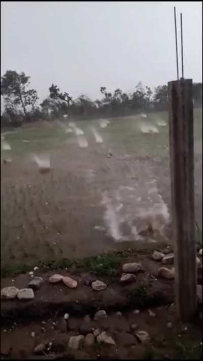 This yard turned into a war zone during a massive hail storm