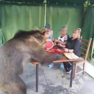 Typical Russian dinner