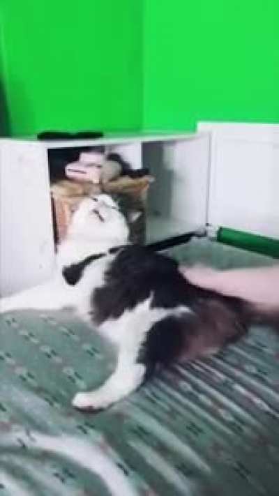 So does he like it or not?
