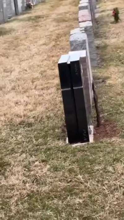 Rest in Playstation