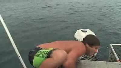Be Free Little Fish! AHHHHHHHHHHHHHH