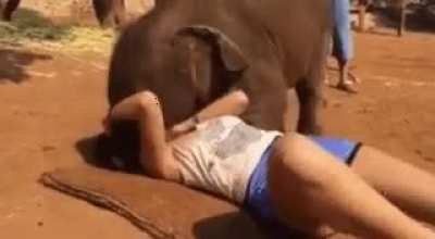 ? Elephant kiss!