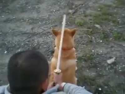 To kill the master