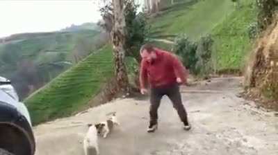 Cock-blocking a horndog, WCGW?