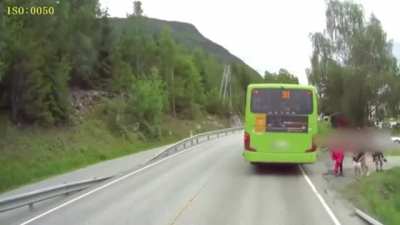 This Truck Emergency Braking System it's unbelievable! ?