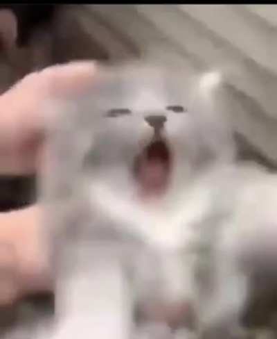 Yes???