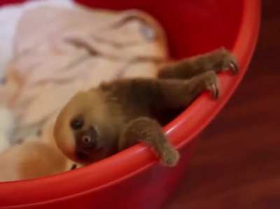 It’s tough getting out of bed for anyone ?