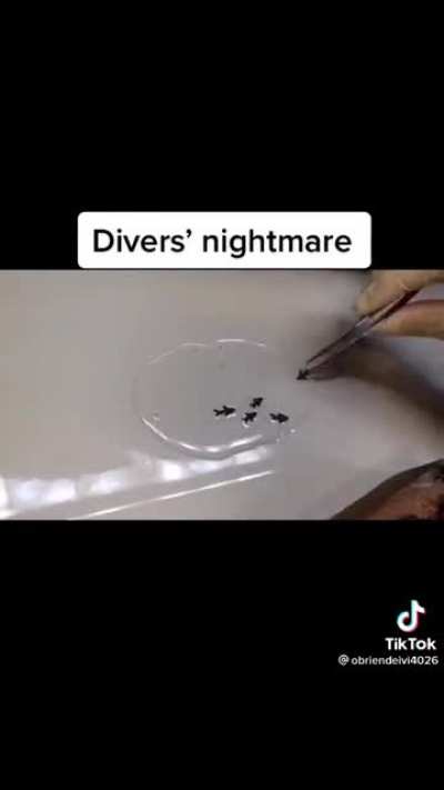 Creating Art of an Underwater Hell: A Diver’s Nightmare