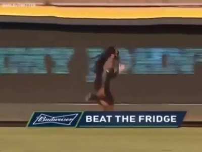 The Fridge Is Not Empty