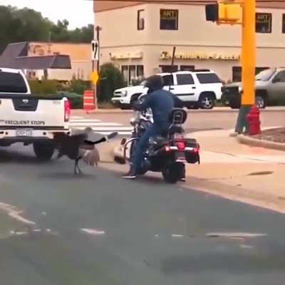 Turkey being a jerk