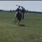 This dude did a 360 on the horse's back wtf