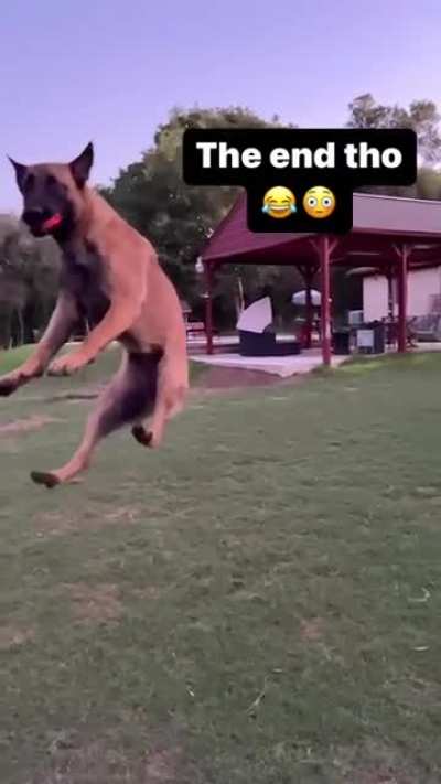 Nice catch...