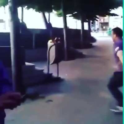 Man vs Trashcan