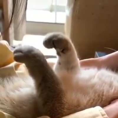 Air biscuits