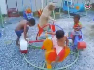 A doggo go round