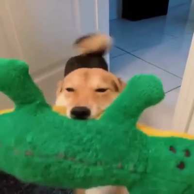 SwerveClips video ivOIVkpIXW