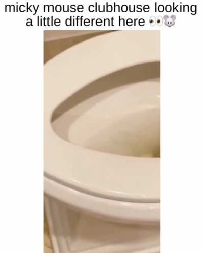 Man finds a mouse in a toilet bowl ?