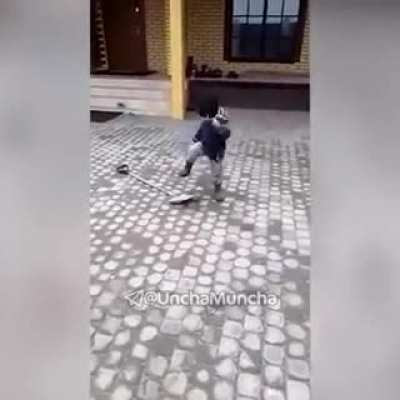 Maybe Maybe Maybe