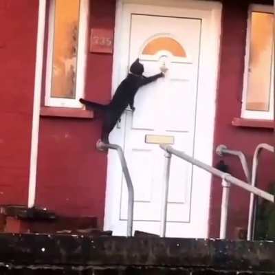 Please open the door????