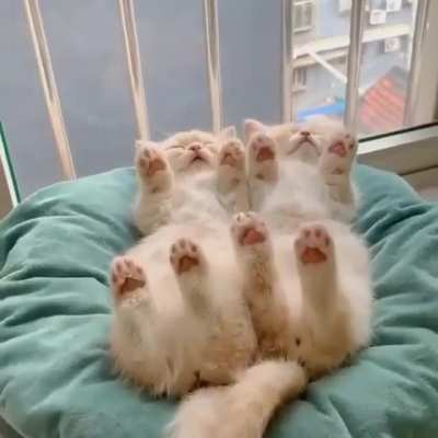 Sleeping ?