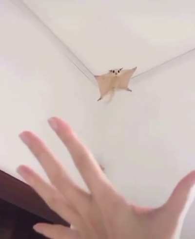 So cute ?