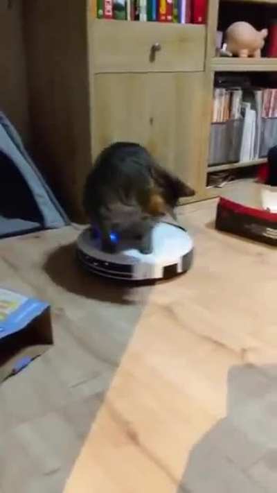 Riding on roomba