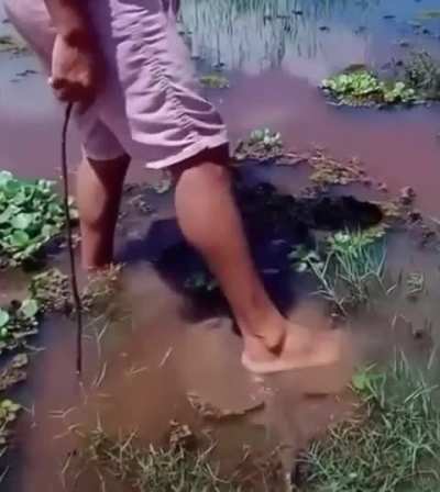 he fucked around and found out