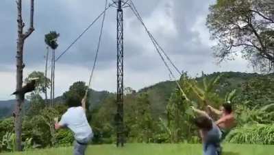 I believe I can fly