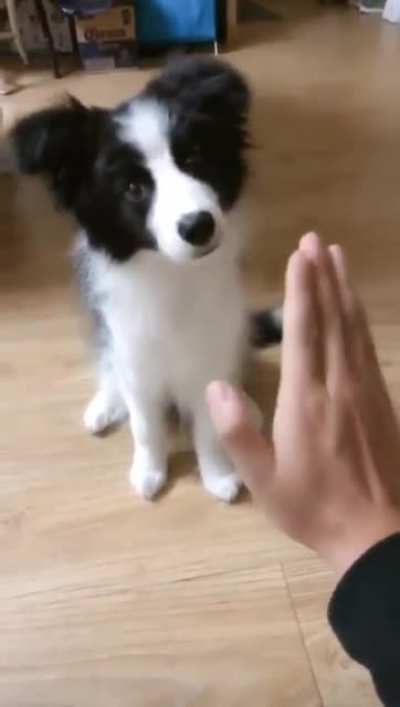 "Is this what you want me to do?"