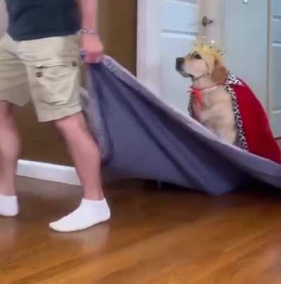 long live the king