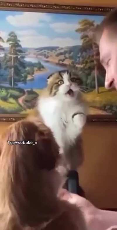 Pet me too #2