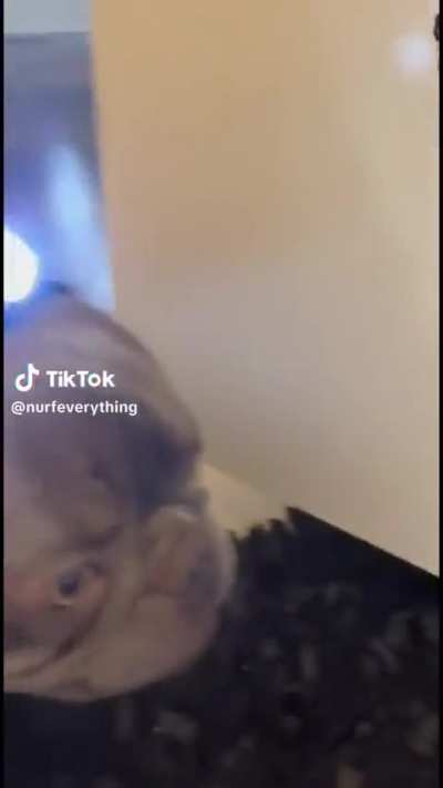 ??