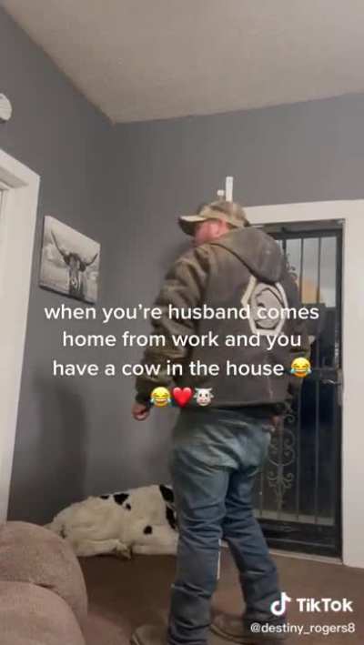 Don’t have a cow man.