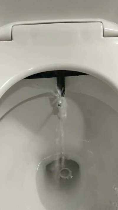 Ever so slowly testing out my new bidet.