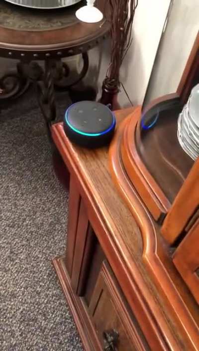 "Alexa, we need guns."