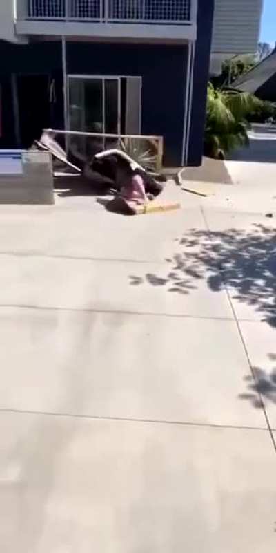 Gravity rules