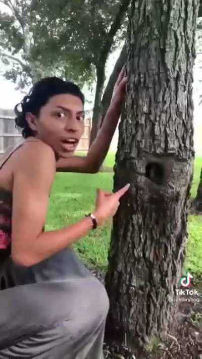 How do I even caption this horror