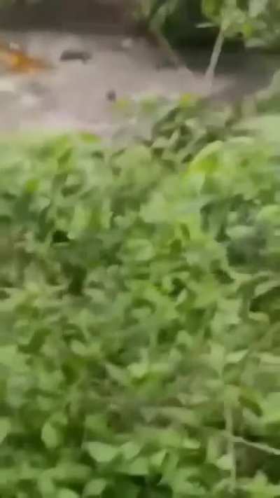 one snap