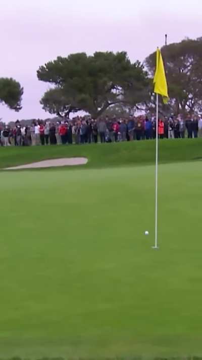 Tiger Woods