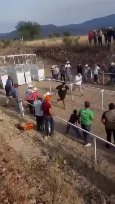 Way better than those horses.