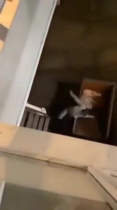 WCGW if I cut path?
