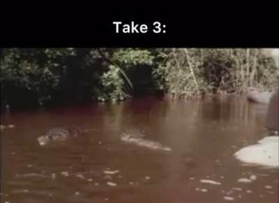 Stuntman Ross Kananga’s attempts at jumping across crocodiles in the James Bond film “Live and Let Die” in 1973.