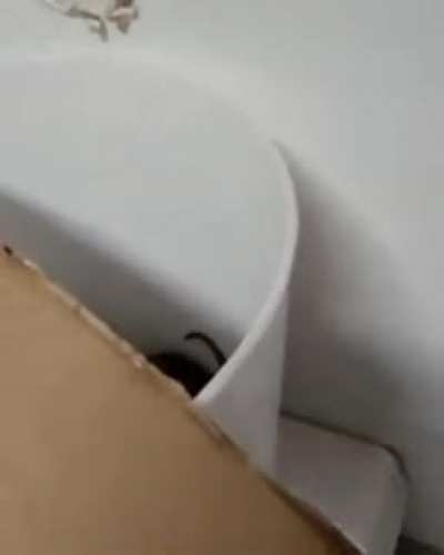 Maybe maybe maybe
