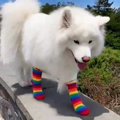 A cloud with rainbow socks!! ???