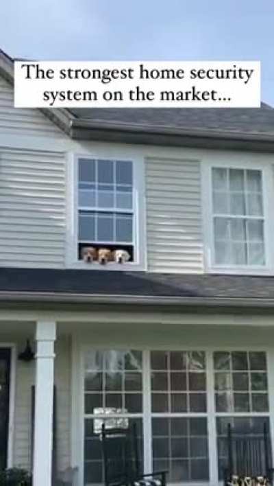 I love how they’re all in the same window ???