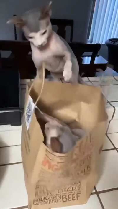 Didn’t see that coming?