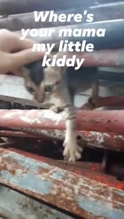 I found this little cutie.